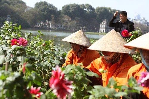 Ảnh hà nội lãng mạn óng vàng trong nắng mới