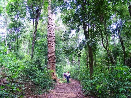 Chơi gì ở phú quốc