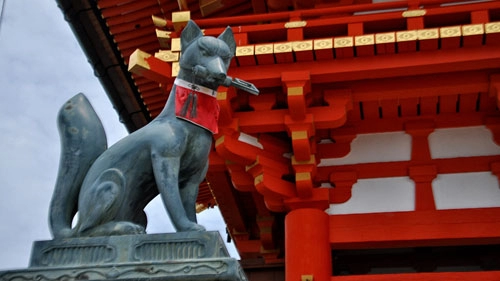 Fushimi inari ngôi đền ngàn cổng kỳ lạ ở nhật bản