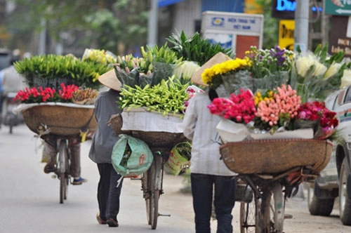 Hà nội tháng 3- thành phố mùa hoa đẹp nhất miền bắc