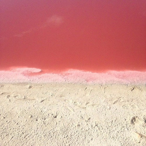 Hồ nước màu hồng tuyệt đẹp khiến giới trẻ thay nhau chụp ảnh