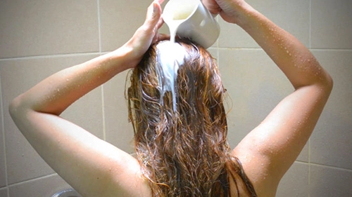Hướng dẫn làm mặt nạ dưỡng tóc từ sữa và trứng