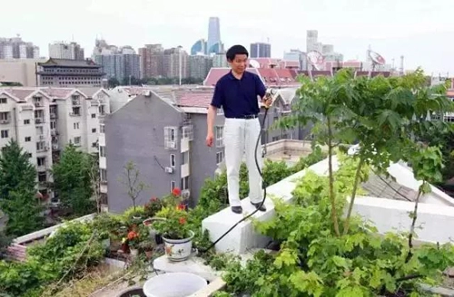 Khu vườn xanh ngát trên mái chung cư khiến hàng xóm nổi giận