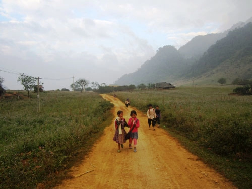 Lên hang kia pà cò săn hoa đào nở sớm