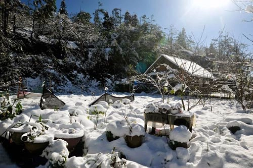 Những hình ảnh đẹp nhất về sapa mùa tuyết rơi
