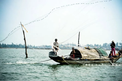 Sơm mai đâm pha xứ huế