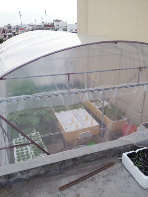 Trai hải phòng chi 4 triệu làm nhà lưới trồng rau sân thượng