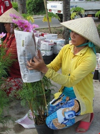 Về làng hoa sa đéc chụp ảnh tự sướng