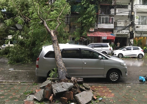  hàng loạt ôtô bị đè bẹp vì bão ở hà nội 