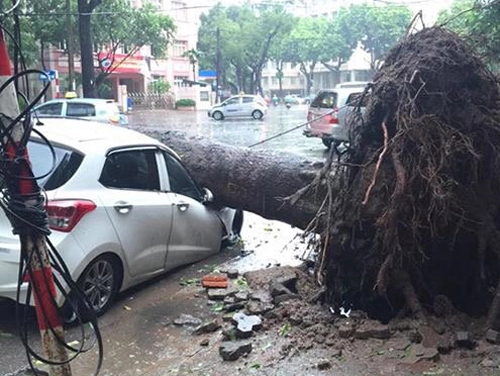  hàng loạt ôtô bị đè bẹp vì bão ở hà nội 