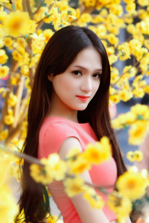 Hương giang idol gợi cảm bên sắc mai vàng