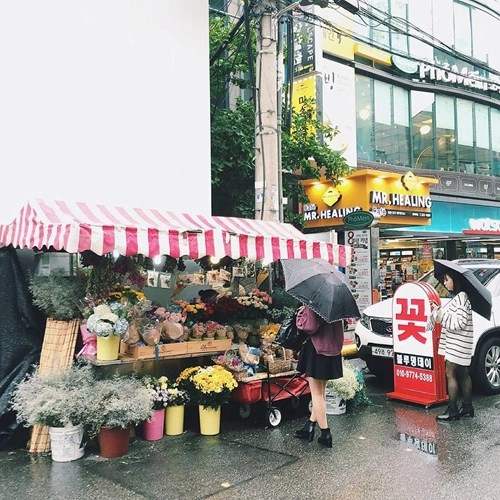 Một mình khám phá seoul xõa banh nóc ở hàn quốc với giá cực rẻ