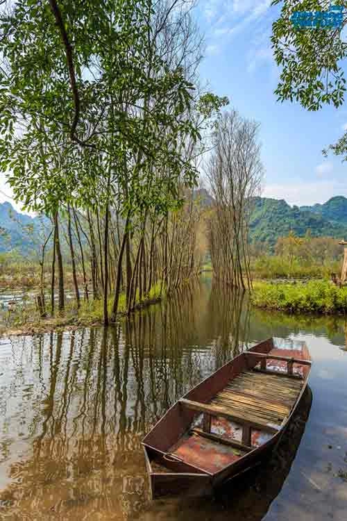 Say đắm cảnh đẹp mùa thu trên dòng suối yến