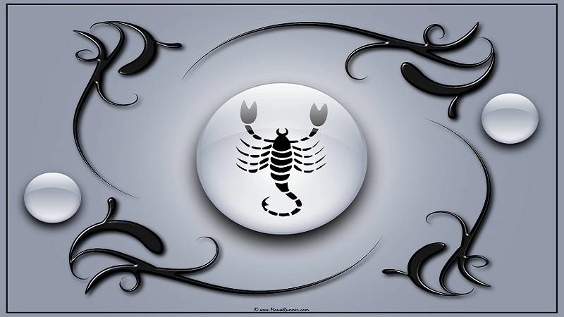 Tử vi cung bọ cạp trong 12 cung hoàng đạo năm 2016
