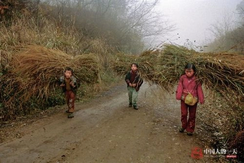 Xúc động hình ảnh mẹ cụt 2 tay oằn lưng cho con bú