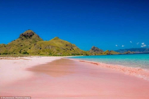 Những bãi biển màu hồng đẹp như mơ khắp thế giới