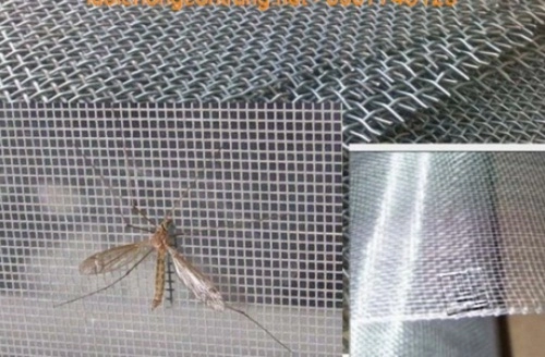 10 cách diệt đường xâm nhập của côn trùng vào nhà