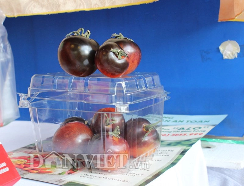 Cà chua đen chocolate 180000 đồngkg được săn lùng