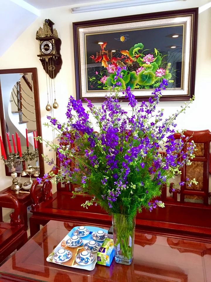 Cắm hoa violet tươi lâu đến 7 ngày