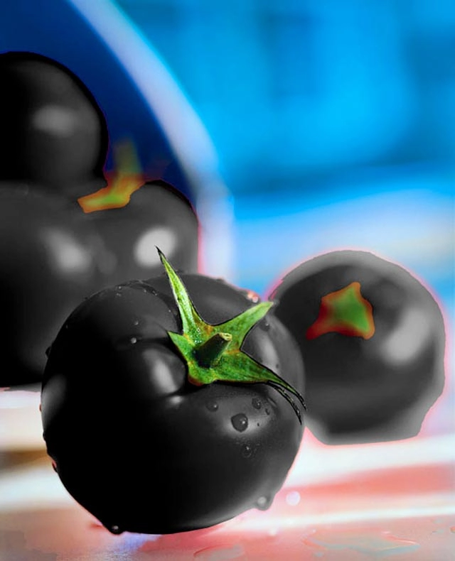 Cận cảnh màu sắc kì lạ của siêu thực phẩm cà chua đen
