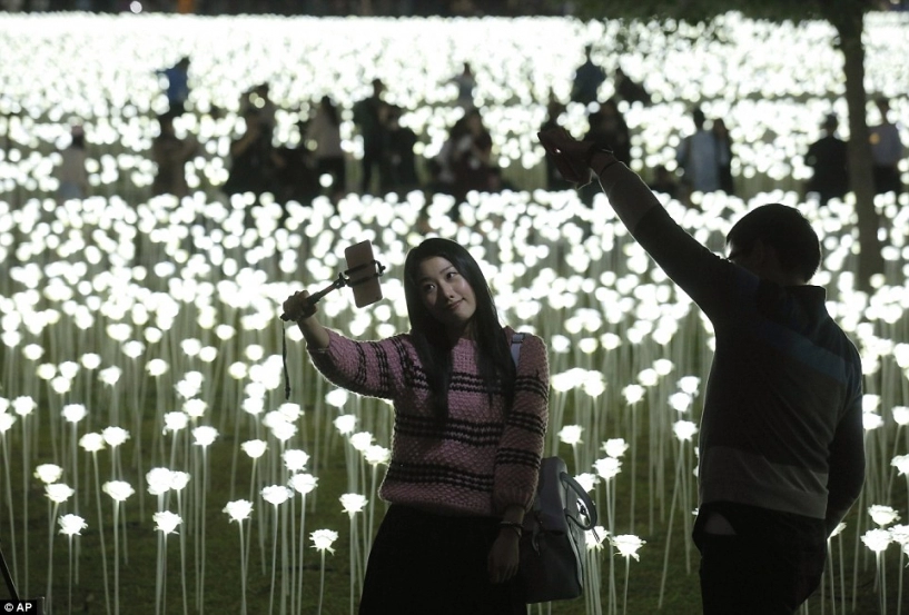 Chen nhau chụp ảnh tại vườn hồng phát sáng 25000 bông