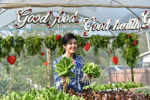 Cựu thủ tướng thái lan tự tay chăm sóc vườn rau