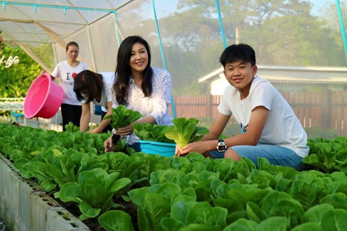 Cựu thủ tướng thái lan tự tay chăm sóc vườn rau