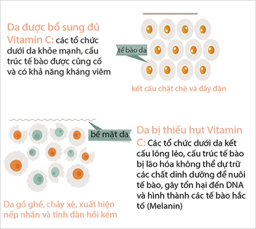 Đón chào năm mới với làn da trắng mịn từ vitamin c