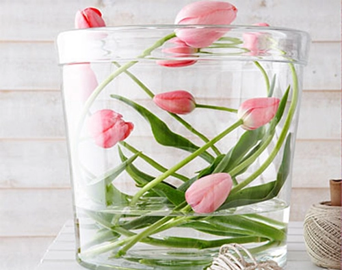 Đủ kiểu cắm hoa tulip dễ nhưng đẹp sang trọng