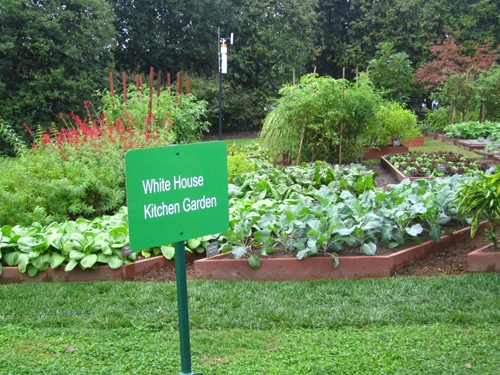 Gia đình obama mời người dân vào thăm vườn rau