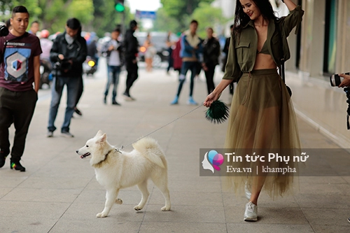 Hà nội chưa bao giờ xôn xao vì các tín đồ street style như hôm nay