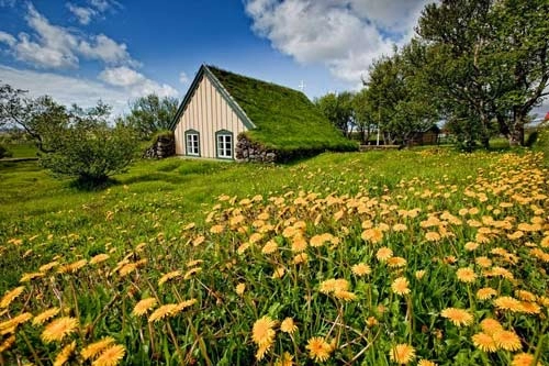 Nhà thờ mái cỏ đẹp như trong cổ tích ở iceland