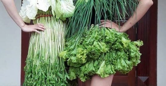 Váy sexy từ xà lách cải thảo rau cần ở vĩnh phúc gây sốt mạng xã hội