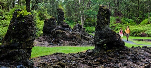 Khám phá rừng cây nham thạch độc đáo ở hawaii