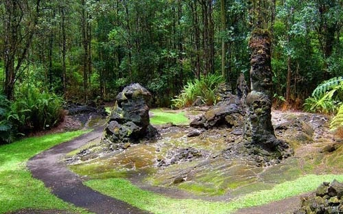 Khám phá rừng cây nham thạch độc đáo ở hawaii