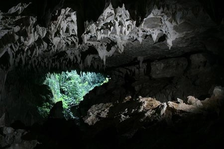 Kỳ thú hang động đom đóm ở new zealand