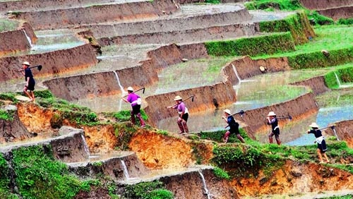 Thung lũng bắc sơn thiên đường xanh của việt nam