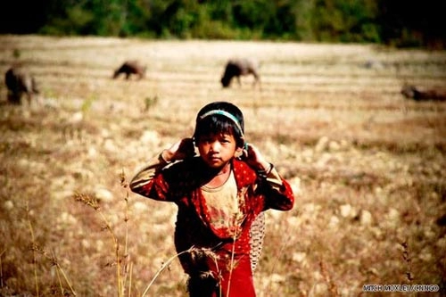 Khám phá viên ngọc thô myanmar