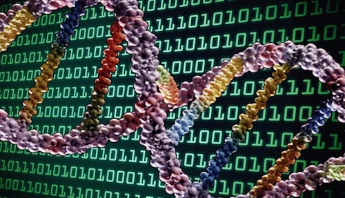 Microsoft muốn lưu dữ liệu số trên gen di truyền
