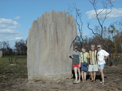 Nghĩa địa mối khổng lồ ở australia