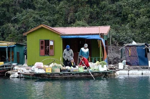 Thăm làng chài đẹp nhất thế giới ở vịnh hạ long