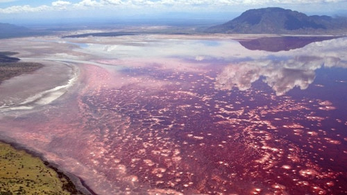 Ấn tượng những hồ nước kỳ lạ nhất thế giới