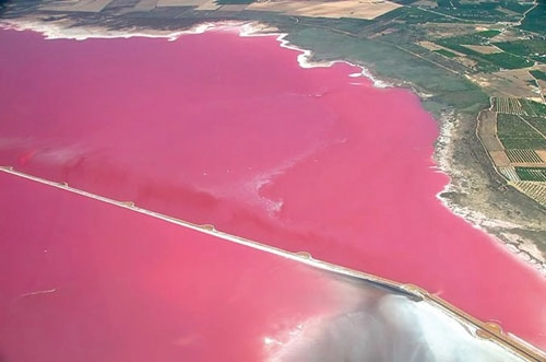 Bí ẩn hồ nước màu hồng hấp dẫn hàng ngàn khách du lịch