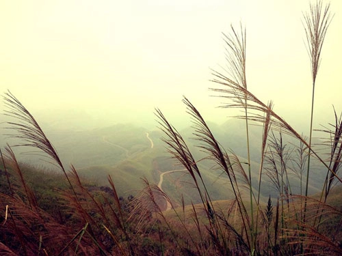 Khám phá bình liêu sapa thu nhỏ ở quảng ninh