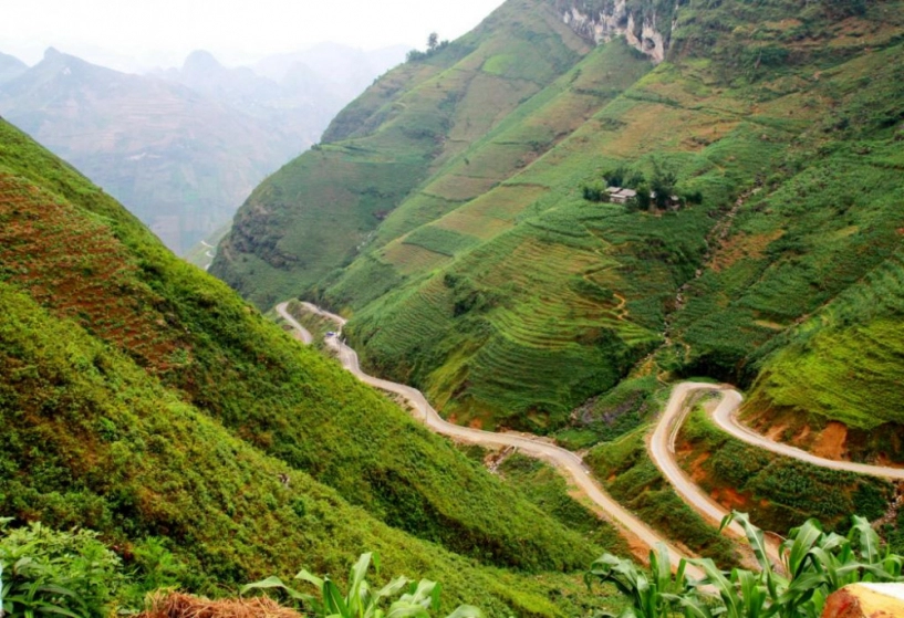 Mùa hoa tam giác mạch trên cao nguyên đá hà giang