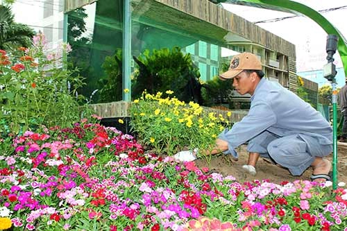 Ngắm đường hoa nguyễn huệ trước giờ khai mạc