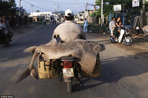 Nhiếp ảnh gia nước ngoài há hốc mồm khi chụp xe máy ở việt nam