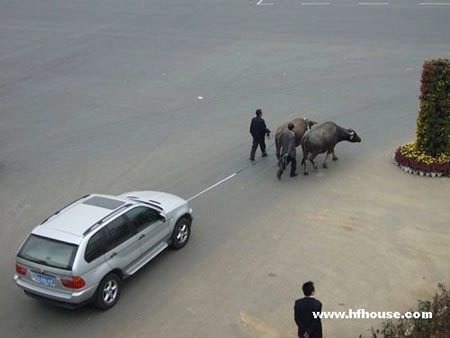  nhờ trâu kéo xe bmw 