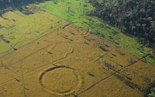Phát hiện hàng trăm hình vẽ 2000 năm tuổi trong rừng amazon
