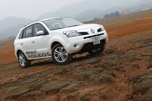  renault koleos - crossover kiểu pháp tại việt nam 